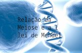 Relação da Meiose e a Primeira lei de Mendel