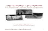 Roteiro identificação e montagem de radiografias intrabucais