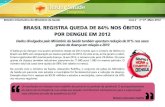 Brasil registra queda de 84% nos óbitos por dengue em 2012