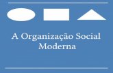 A Organização Social Moderna Revisado