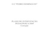 Pip   E.E. Pedro Domingues