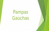 Pampas gaúchas