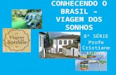 Conhecendo o brasil – viagem dos sonhos