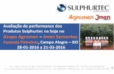 2 - 2016-03-23 - Agromen - Soja - Faz. Santa Fe - Talhao 07 - A4