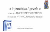 Informática Agrícola Aula 07 - Processamento de Textos (conceitos, processadores wysiwyg, formatação e estilos)