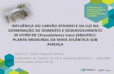 Influência do carvão ativado e da luz na germinação de sementes e desenvolvimento in vitro de Chrysobalanus icaco (Abajeru): Planta Medicinal da Mata Atlântica sob ameaça.