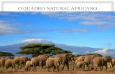 O quadro natural africano 2017