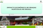Impacto econômico de pragas agrícolas no Brasil
