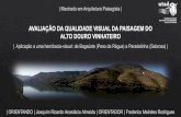 Avaliação (e mapeamento) da qualidade visual da Paisagem do Alto Douro Vinhateiro