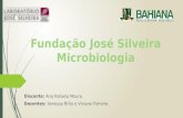 Fundação José Silveira
