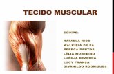Tecido muscular seminário