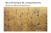 Sistema Neuroendócrino e o Estresse