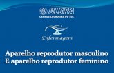 Sistema reprodutor feminino e masculino