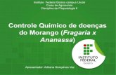 Controle Químico de doenças do Morango - Adriana Gonçalves Vaz