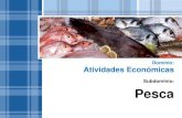 A Pesca! Atividades Económicas