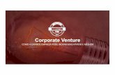 Corporate Venture
