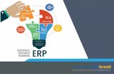 Sistemas ERP - e-Commerce Experience