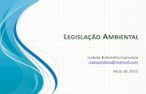 Aula de Legislação Ambiental no Brasil e nas empresas