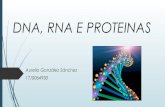 Dna, rna e proteinas portugués