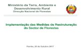 Government view of forest sector changes in Mozambique