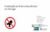 Erradicação da rã-de-unhas-africana em Portugal