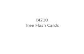 Lab  Exam  Tree  Flashcards