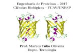 Engenharia de Proteínas 2017 Ciências Biológicas FCAV/UNESPjavali.fcav.unesp.br/Home/departamentos/tecnologia/marcostulio... · Engenharia de Proteínas – 2017 Ciências Biológicas