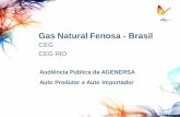 Gas Natural Fenosa - Brasil - · PDF filegás natural serão avaliadas mediante no contrato de concessão e Expansão definido nas Revisões concessão, de modo a garantir o da Concessão.