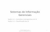 Sistemas de Informação Gerenciais - Prof. Diego Fernandesdiegofernandes.weebly.com/uploads/2/0/2/9/2029053/aula_02_e_03... · planejamento de recursos empresarias (enterprise resource