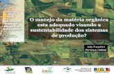 O manejo da matéria orgânica esta adequado visando a ...brasil.ipni.net/ipniweb/region/brasil.nsf... · Produtividade da soja em função do sistema de culturas e do número de