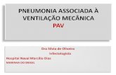 PNEUMONIA ASSOCIADA À VENTILAÇÃO MECÂNICA · PDF filePAV PAV é a IRA mais prevalente nas UTIs (15%) 25% das infecções adquiridas nas UTIs No Brasil: 16-20 casos por 1000 vent/d