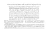 CONTRIBUIÇÃO DA IRIDOLOGIA NO DIAGNÓSTICO DE MASTITE ... · PDF fileCONTRIBUIÇÃO DA IRIDOLOGIA NO DIAGNÓSTICO DE MASTITE SUBCLÍNICA EM CAPRINOS (Capra hircus, LINNAEUS, 1758)*