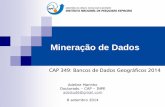 Mineração de Dados - wiki.dpi.inpe.brwiki.dpi.inpe.br/lib/exe/fetch.php?media=cap349_2012:apresentacao... · Mineração de Dados CAP 349: Bancos de Dados Geográficos 2014 Adeline