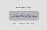 Antonio Liccardo Mineralogia de silicatos e sua aplicação ...files.geodiversidade-na-educacao4.webnode.com... · -Aparece em rochas metamórficas, associadas com hornblenda e augita.