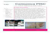 Comunica PISC - porteiras.s.unipampa.edu.brporteiras.s.unipampa.edu.br/petpisc/files/2015/11/Informativo-PISC.pdf · discentes na busca pelo melhor aproveitamento ... Veterianária,