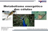 Metabolismo energético das células - webgiz.univertix.netwebgiz.univertix.net/files/00042/Metabolismo_energético_das... · energia, de oxigênio e de nutrientes • Na respiração