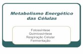 Metabolismo Energético das Célulasbiologiaongep.pbworks.com/w/file/fetch/53409819/Metabolismo... · Respiração Celular Fermentação. 1. Introdução Reações endotérmicas -