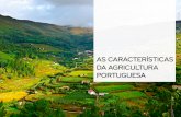 Com os seus cerca de 92 212 km - Geoportugal · PDF fileCom os seus cerca de 92 212 km2, Portugal apresenta uma grande diversidade de paisagens, nas quais se inserem, quando consideramos