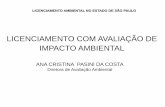 Diretora de Avaliação Ambiental - VIEXviex-americas.com/2016/wp-content/uploads/2017/05/Ana-Cristina... · - O licenciamento ambiental com extensão até 20 ... Ruído, vibração