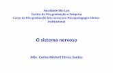 O sistema nervoso - Faculdade São Luiz de França · PDF fileO sistema nervoso MSc. Carlos Michell Tôrres Santos. Ori emOrigemdosistema ner osonervoso. Cél lasCélulasbási asbásicasdoSistemaNer