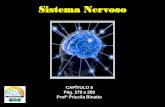Sistema Nervoso - · PDF fileSistema Nervoso Ganglionar •Localizado na região ventral do corpo • organiza-se sob a forma de um ou mais cordões nervosos longitudinais apresentando