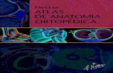 Netter ATLAS DE ANATOMIA ORTOPÉDICA - …elseviersaude.com.br/wp-content/uploads/2012/09/2011-E-sample... · Netter Atlas de Anatomia Ortopédica Jon C. Thompson, MD Staff Orthopaedic