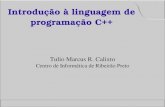 Introdução à linguagem de programação C++glu.fcfrp.usp.br/tulio/materiais/c++.pdf · Pode haver bifurcações, repetição de código e ...