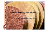 2009-11-24 Apresentao PMA APIMEC - · PDF filearames, tubos, conexõese ligasde cobre Capacidade: 72 mil t / ano Market share volume MI: 35% ... Paranapanema e Eluma pelo CDPC(Centro