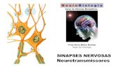 Profa Silvia Mitiko Nishida Depto de Fisiologia - ibb.unesp.br · PDF fileTipos de Sinapse Nervosas 1 e 1’ axo-dendritica 2 axo-axonica 3 dendro-dendrítica 4 axo-somática Um neurônio