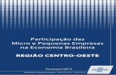 REGIÃO CENTRO-OESTE - datasebrae.com.brdatasebrae.com.br/documentos2/pesquisas/Participacao das MPE na... · 4 O Desempenho das Variáveis Selecionadas, por Porte das Empresas, Segundo