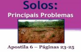 Solos: Principais Problemas - Bedel Internetsistema.deltacolegio.com.br/upload/22102013101046_soloproblema.pdf · Problemas dos solos Brasileiros 1. Erosão 2. Desertificação 3.