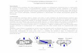 Apostila de Compressores - por · PDF fileFaculdades UNICEN Tecnólogo em Mecanização Agrícola Fundamentos de Hidráulica e Pneumática 28 Compressores Figura 18. Geometria básica