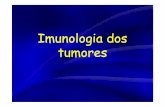 Imunologia dos tumores - UNESP: Câmpus de · PDF file• Antígenos de vírus oncogênicos • Antígenos oncofetais ... 1 – Baixa imunogenicidade – Crescimento seletivo de variantes