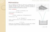 Hidrostática - eduloureiro.dominiotemporario.comeduloureiro.dominiotemporario.com/doc/mfaula2.pdf · Nos fluidos em repouso, a força de pressão é perpendicular à superfície.